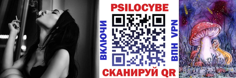 Купить  Гуково  Псилоцибиновые грибы Psilocybine cubensis 